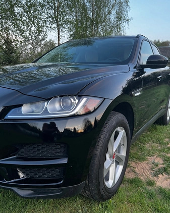 Jaguar F-Pace cena 115900 przebieg: 112800, rok produkcji 2017 z Białystok małe 742